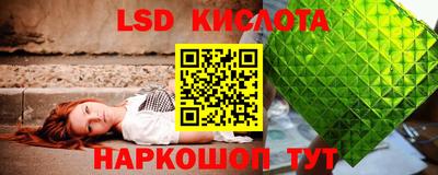 винт Сланцы