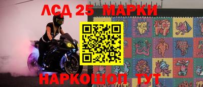 индика Славгород