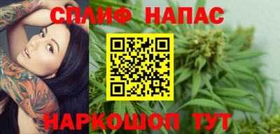 индика Славгород
