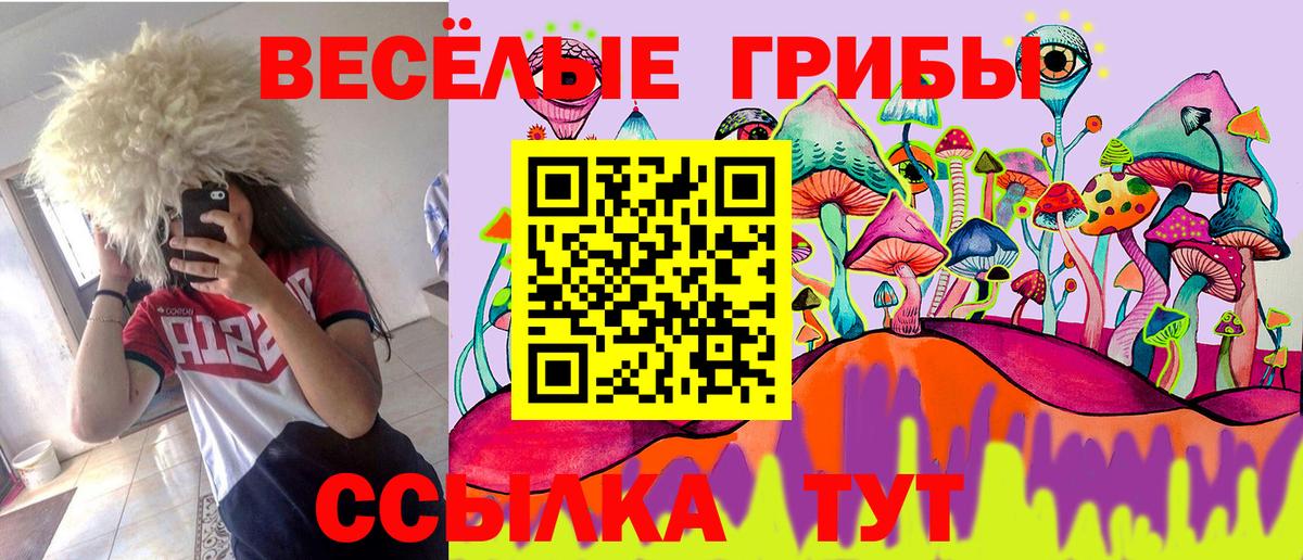 Псилоцибиновые грибы Psilocybine cubensis  Галлюциногенные грибы ЛСД  Вход с VPN  Нягань 