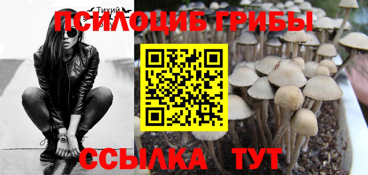 Галлюциногенные грибы GOLDEN TEACHER Нягань